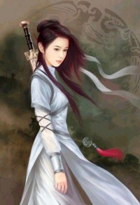 风生水起系统